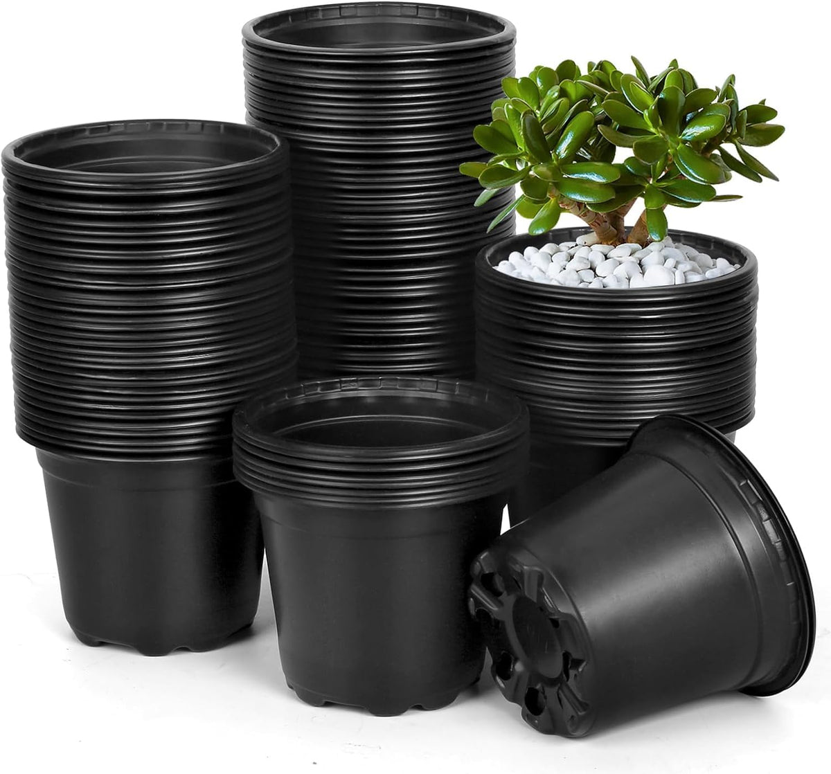DUNPUTE 5 inch nursery pot with drainage holes for seed germination and transplanting.
