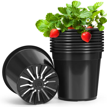 DUNPUTE 2-gallon pot with 9.4-inch top for healthy seedling growth.