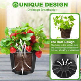 DUNPUTE 6-pack 3-gallon pot with smooth surface for easy cleaning