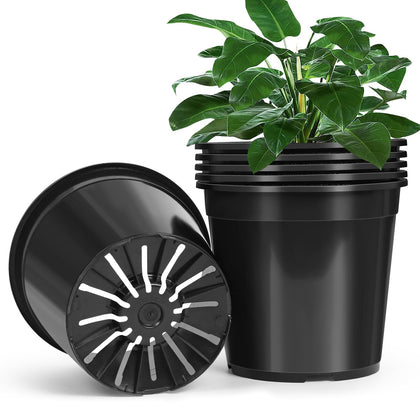 DUNPUTE 6-pack 3-gallon pot with 10.3 inch top for sturdy seed starting