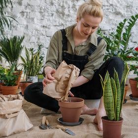 DUNPUTE BPA-free reusable plant saucer supports eco-friendly gardening.
