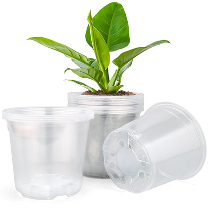 DUNPUTE clear nursery pot front view for seedling growth and monitoring