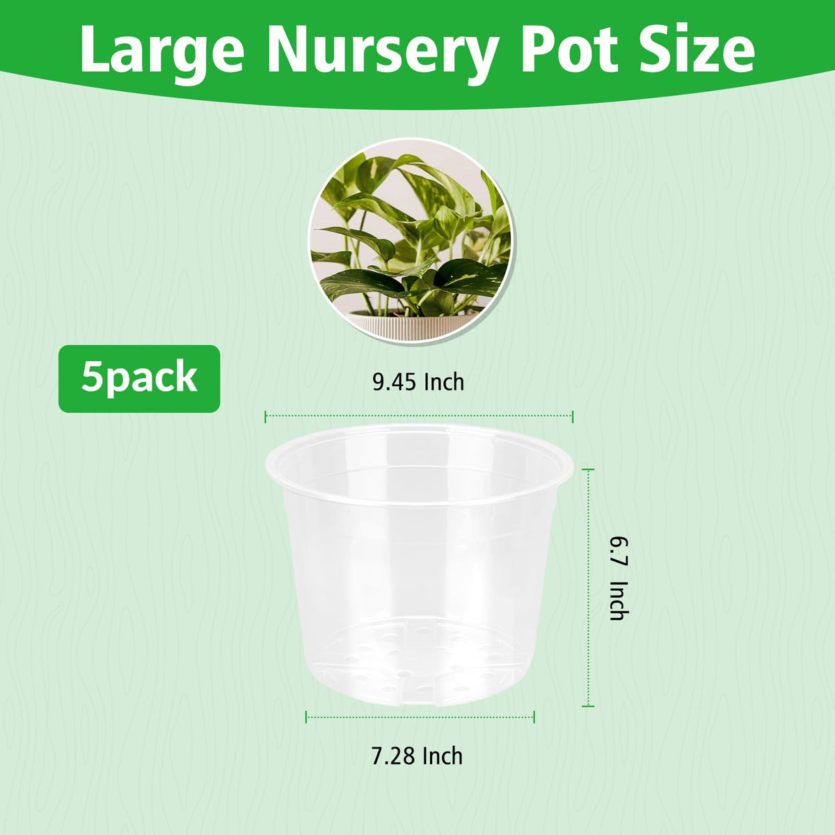 DUNPUTE root monitoring design helps observe moisture and root growth