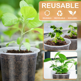 DUNPUTE clear seedling pots pack 15-count for versatile planting