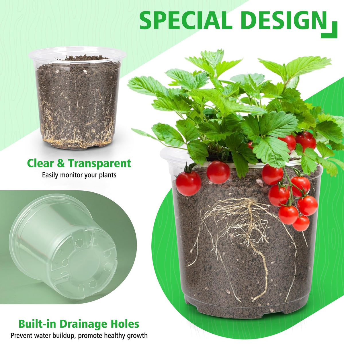 DUNPUTE drainage holes prevent water buildup and root rot