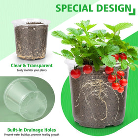 DUNPUTE drainage holes prevent water buildup and root rot