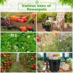 DUNPUTE indoor-outdoor plant pot for versatile placement.