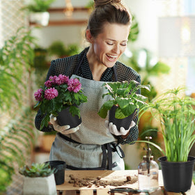 DUNPUTE multifunctional pot suitable for succulents, vegetables, and flowers.