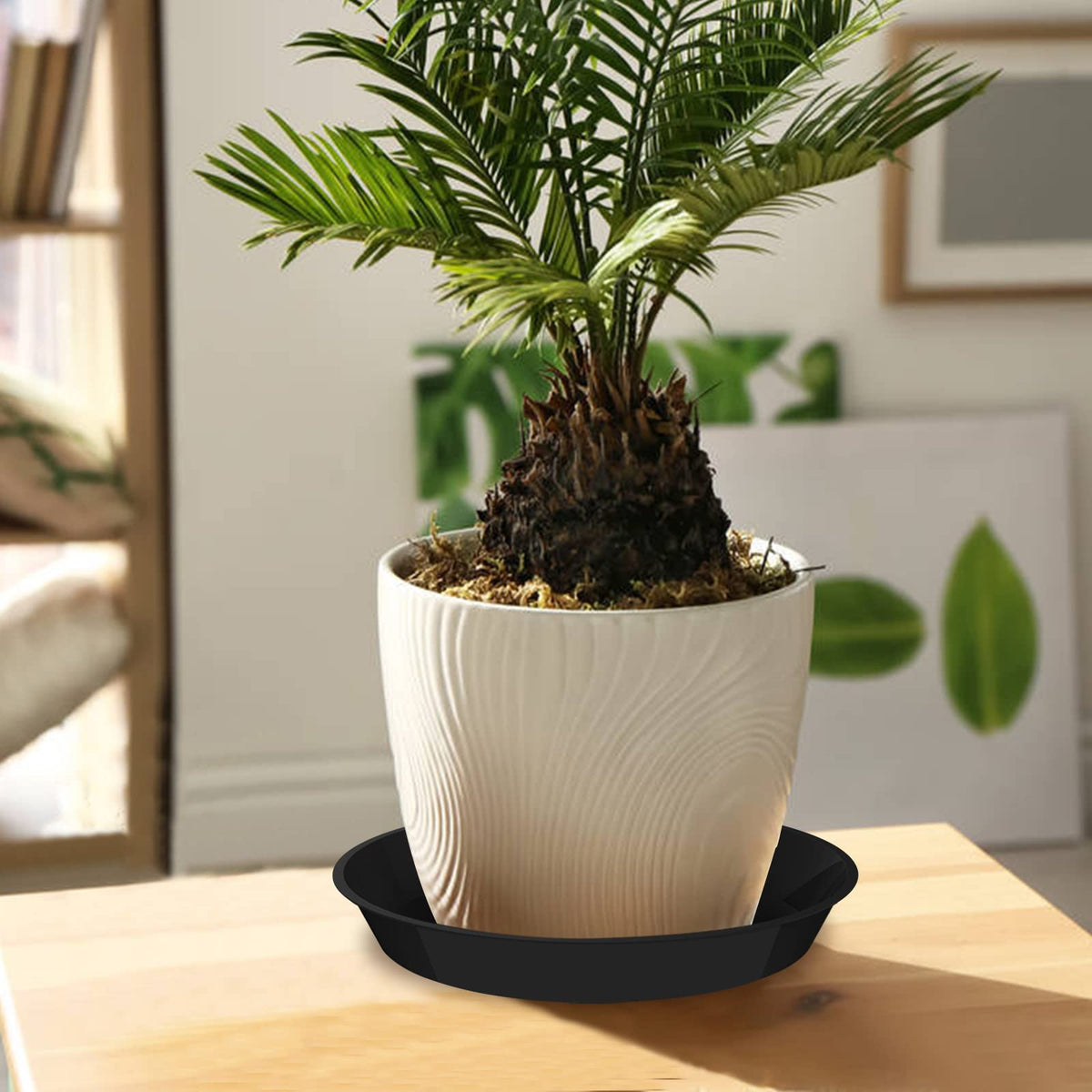 DUNPUTE decor-use and fruit-holding tray option