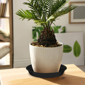 DUNPUTE decor-use and fruit-holding tray option