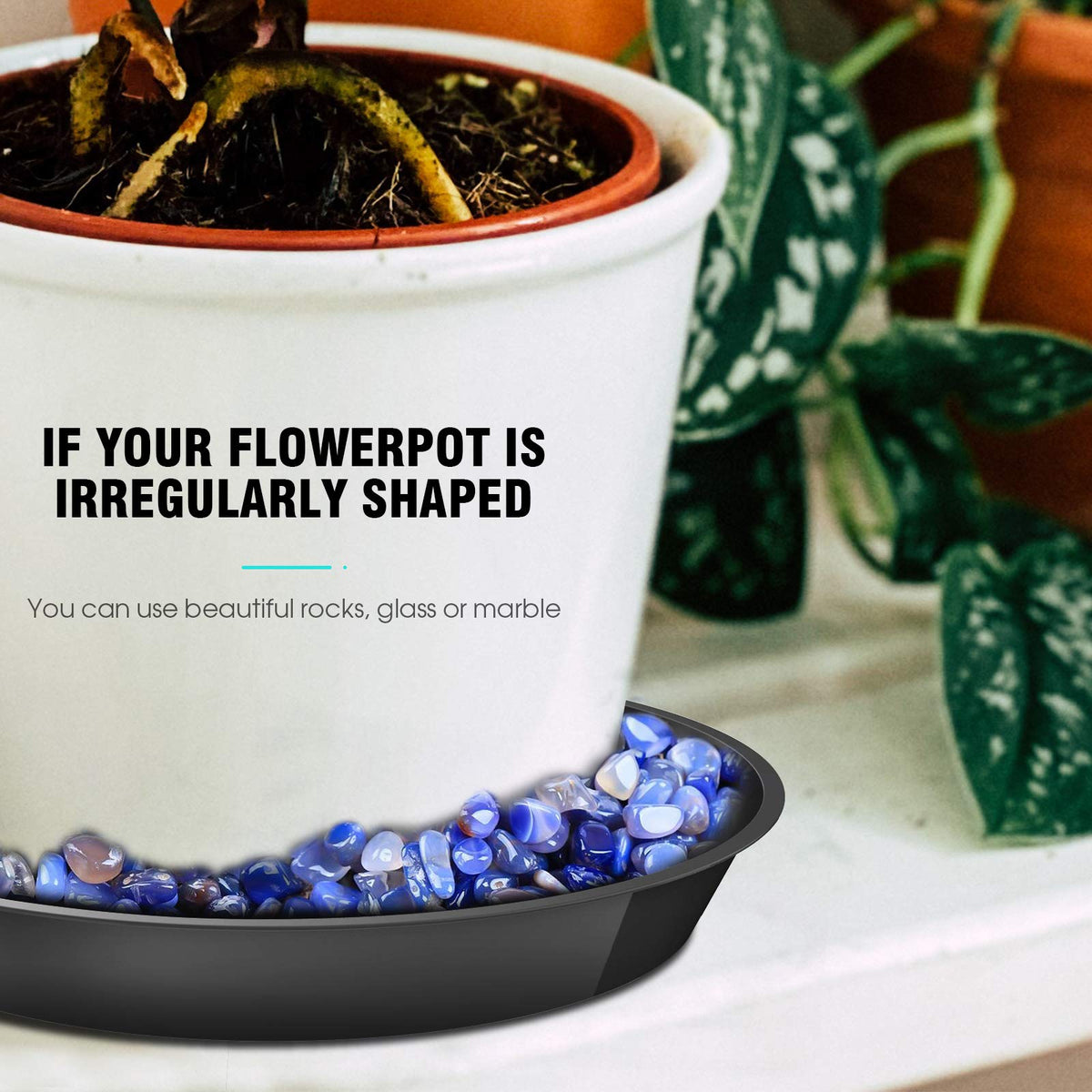DUNPUTE decorative 8-inch saucer with pebbles enhances plant display.