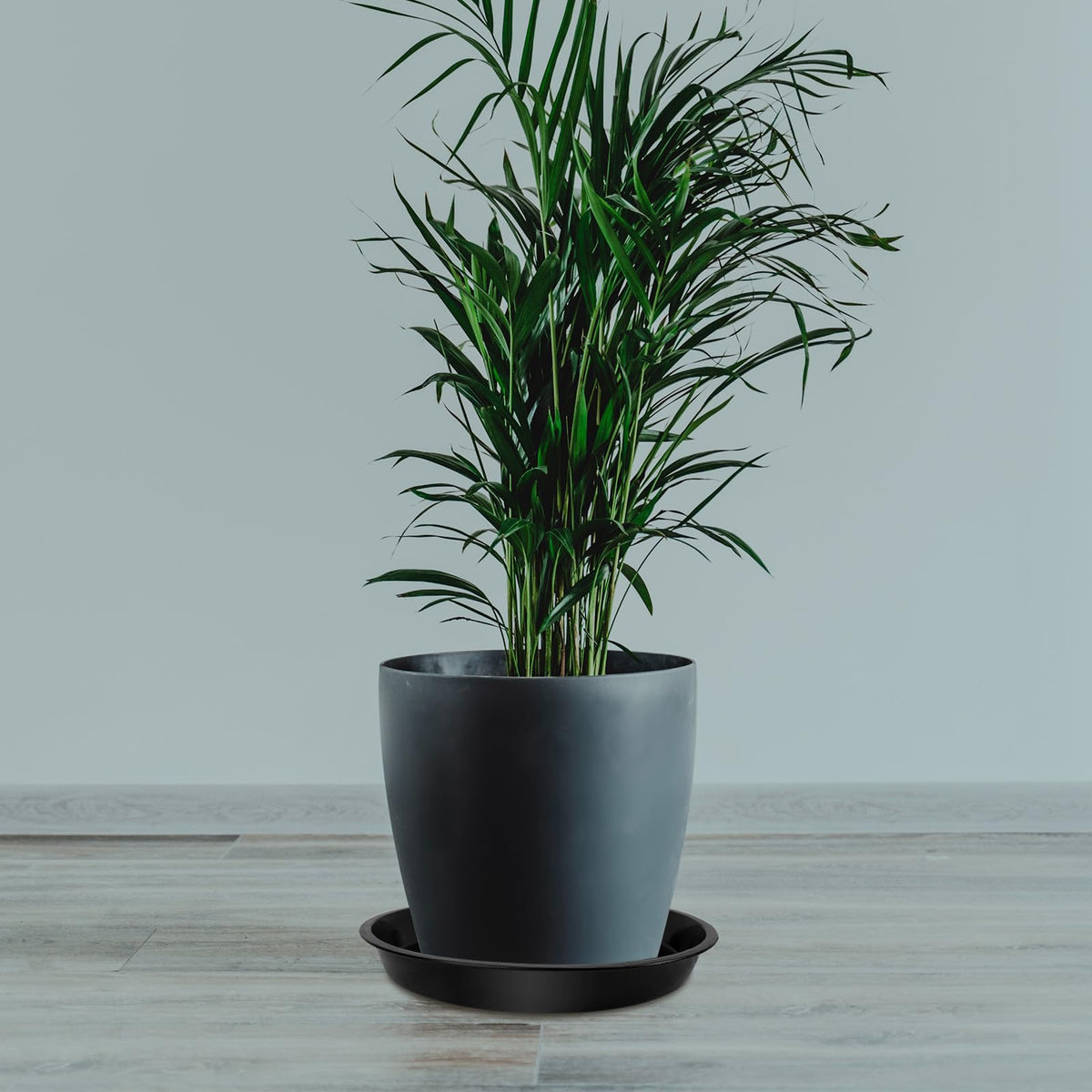 DUNPUTE saucer for indoor and outdoor use, versatile for any setting.