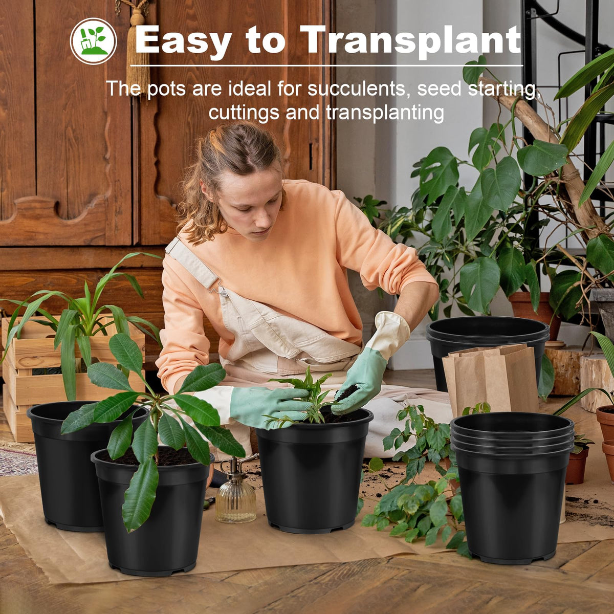 DUNPUTE pot with drainage holes prevents waterlogging and root stress.