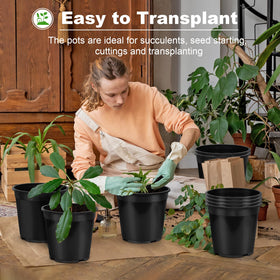 DUNPUTE pot with drainage holes prevents waterlogging and root stress.