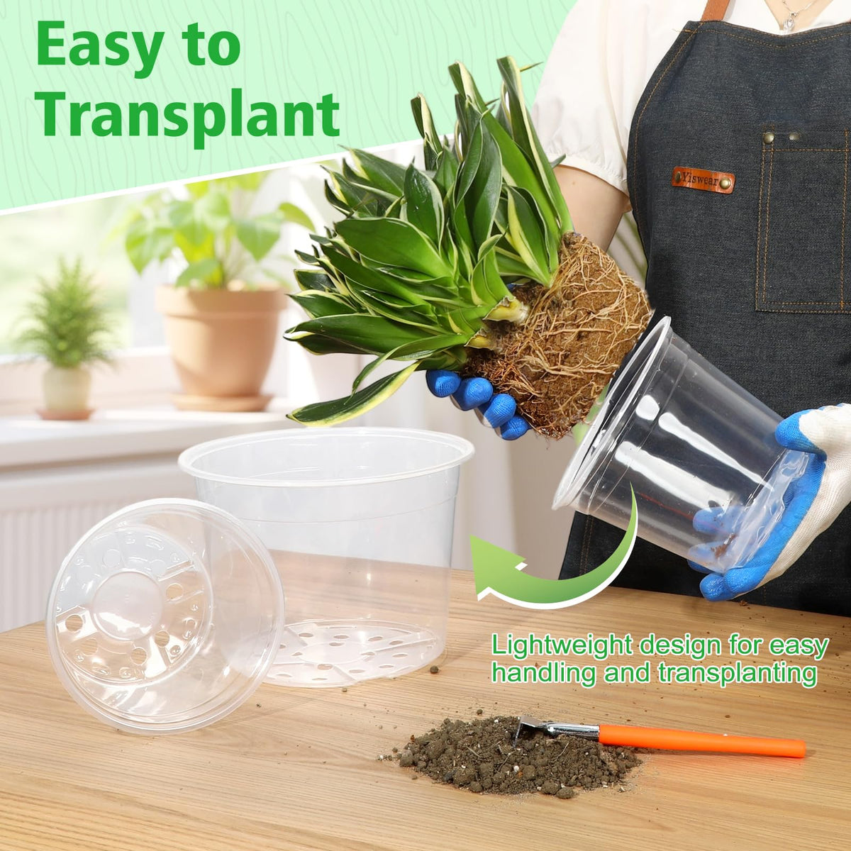 DUNPUTE versatile pot for succulents, herbs, and vegetables
