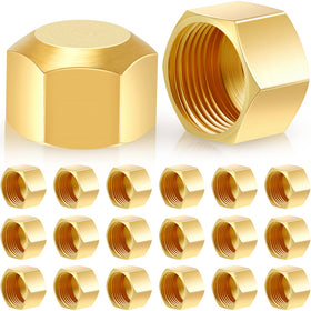 Dunzy 20-piece brass compression caps pack for easy pipe sealing and replacements.