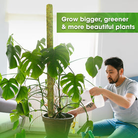Duspro 59-inch pole fits 14- to 20-inch pots for big plants
