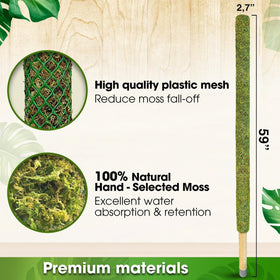 Duspro moss pole tall plant stake for climbing varieties like Monstera and pothos