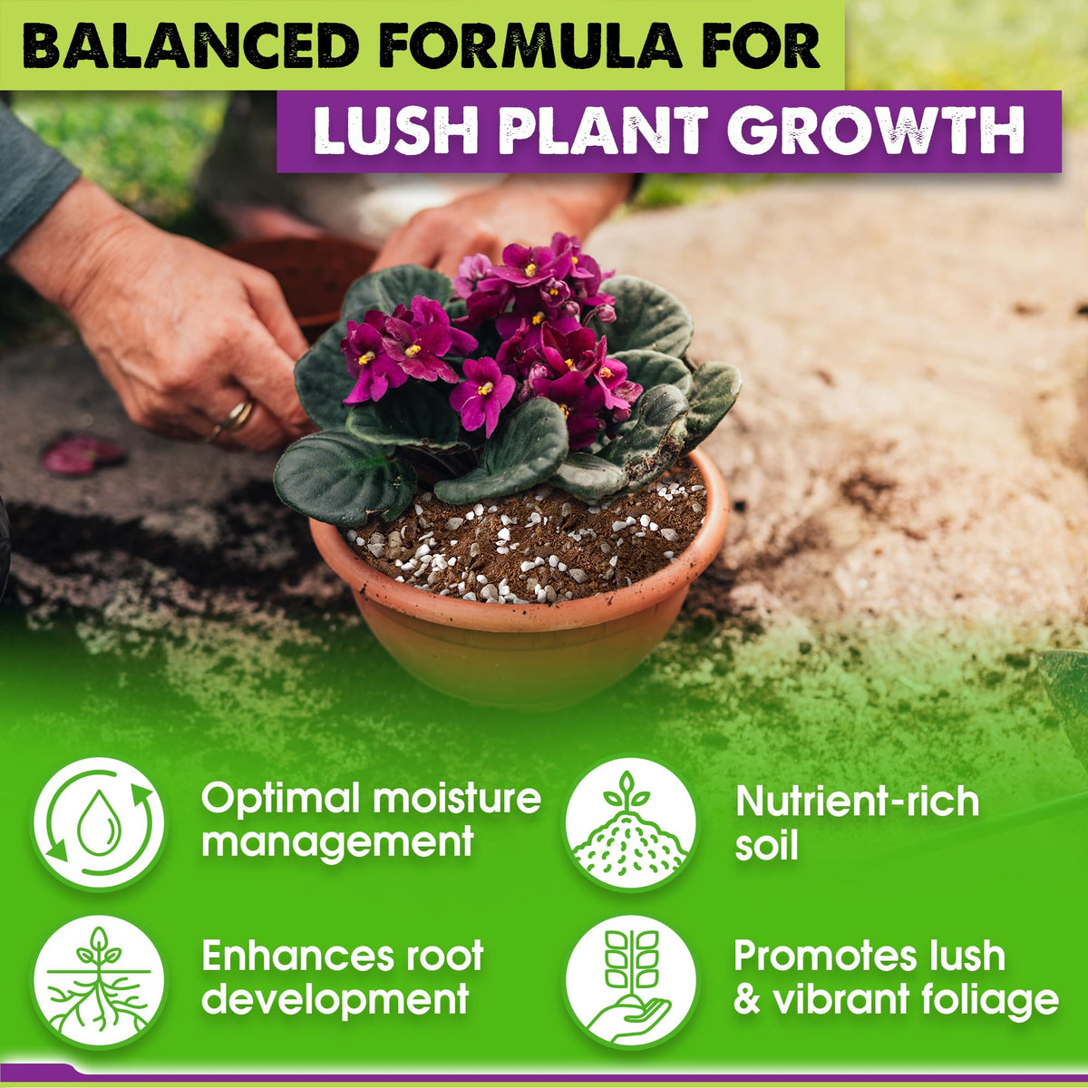 Duspro African violet soil in pot shows ready-to-use mix for quicker planting.
