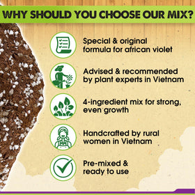 Duspro soil bag label highlights four key ingredients for violet care.