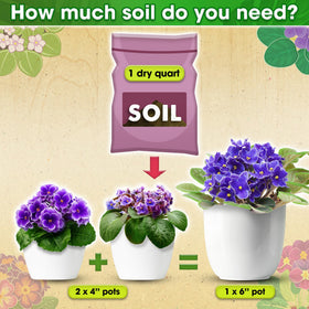 Duspro moisture-balanced mix supports proper watering without soggy roots.