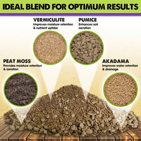 Duspro bonsai soil demonstrates moisture retention for steady root hydration.