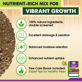 Duspro bonsai soil interior supports root oxygenation and healthy growth.