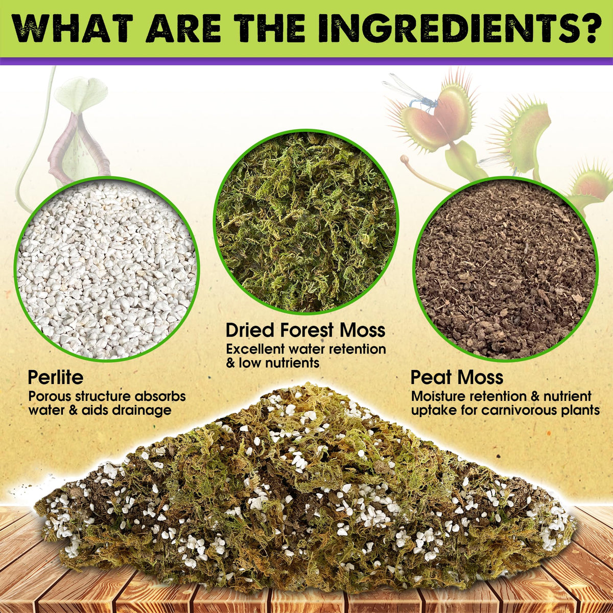 Duspro peat moss blend provides gentle drainage for bog-loving pitcher plants