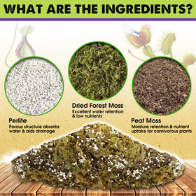 Duspro peat moss blend provides gentle drainage for bog-loving pitcher plants