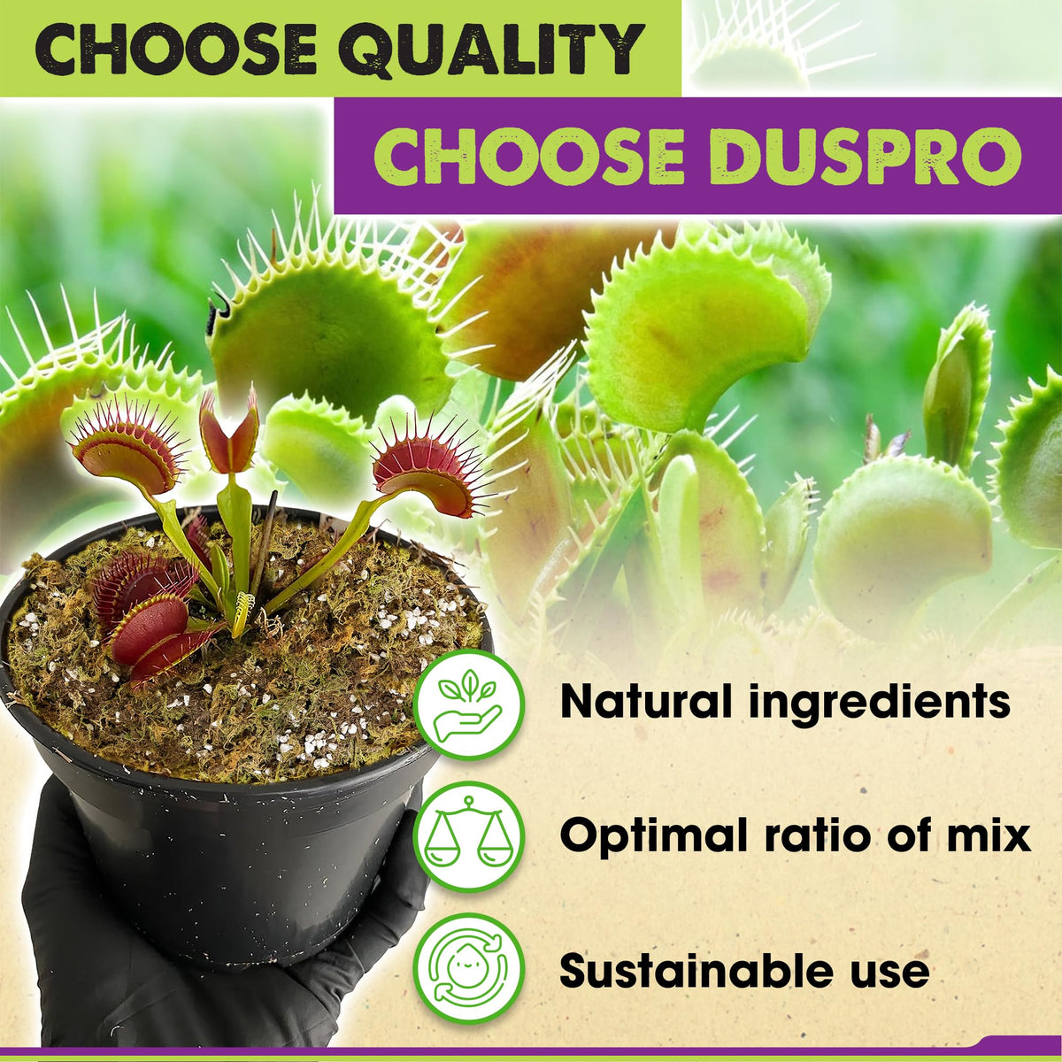 Duspro perlite inclusion improves aeration and drainage for carnivorous plants