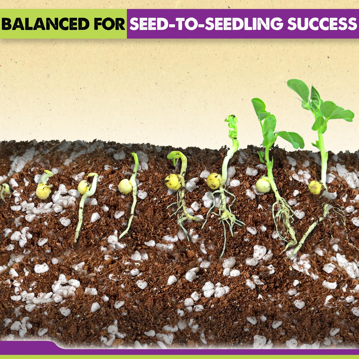 Duspro coco coir blend with perlite and vermiculite aids drainage for seedlings.