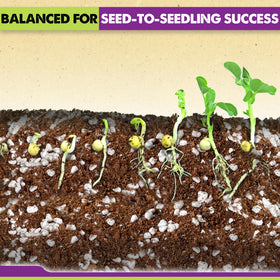Duspro coco coir blend with perlite and vermiculite aids drainage for seedlings.