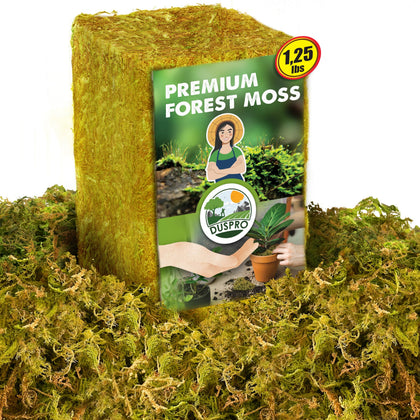 Duspro dried moss bag with 1.25 lb packaging, ready for potting.