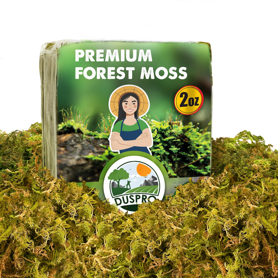 Duspro dried moss 2oz pack boosts moisture retention for potted plants.