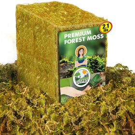 Duspro dried moss pack 2.1 lbs ready for potting and soil cover