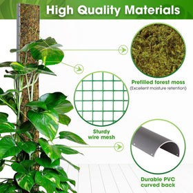 Duspro D-Shape shown in vertical setup supporting tall climbing plants