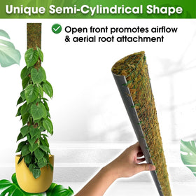 Duspro moss pole with wire mesh side view for secure aerial root attachment