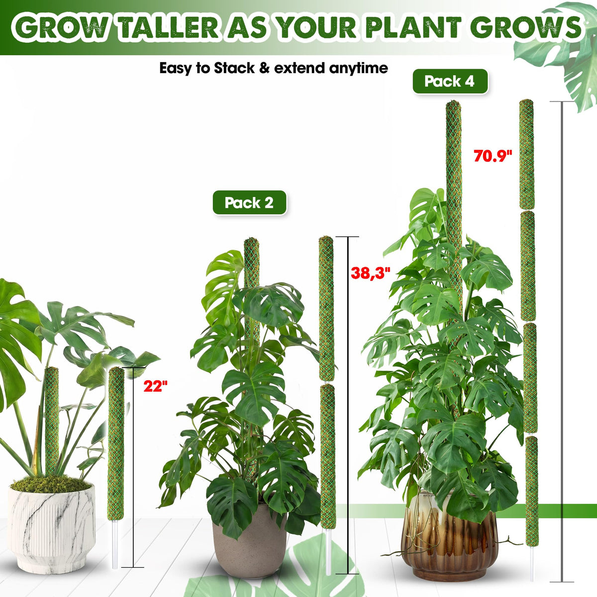 Duspro extendable plant stake stacks easily as Monstera grows taller.