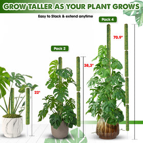 Duspro extendable plant stake stacks easily as Monstera grows taller.