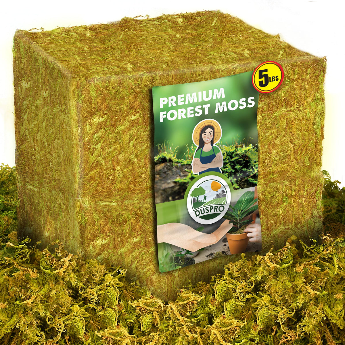 Duspro forest moss bale close-up for propagation and balanced moisture retention