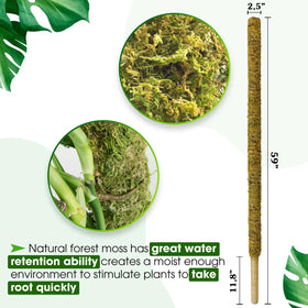 Duspro forest moss blends with plant color for a natural look.