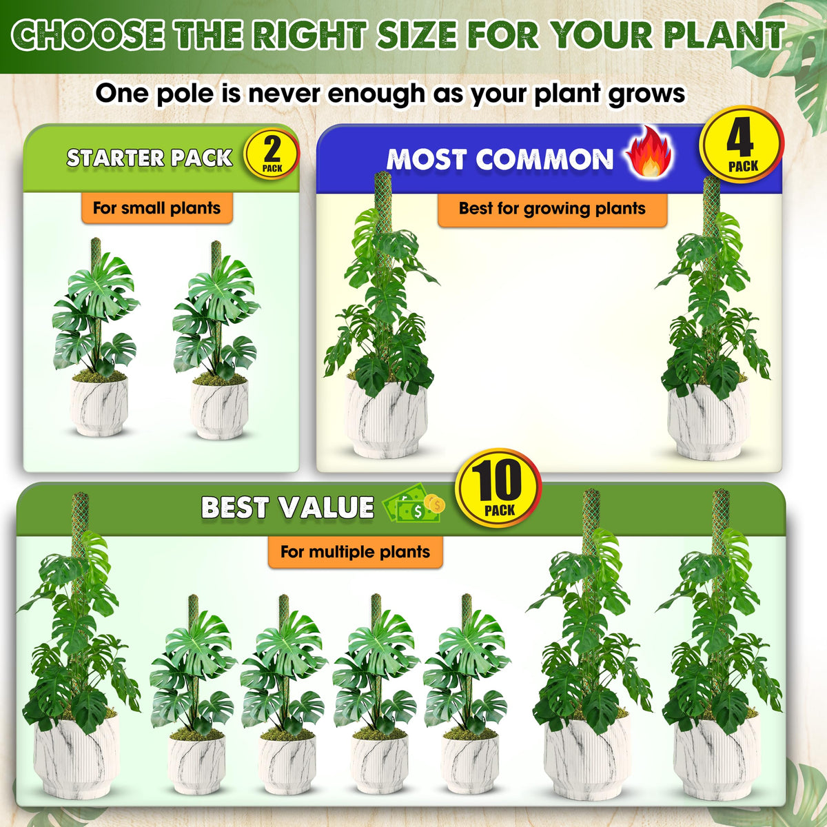 Duspro indoor climbing plant stake ideal for pothos, philodendron, and more.