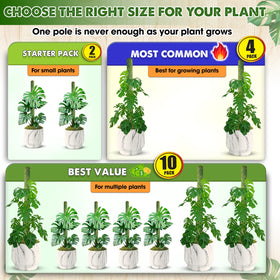 Duspro indoor climbing plant stake ideal for pothos, philodendron, and more.