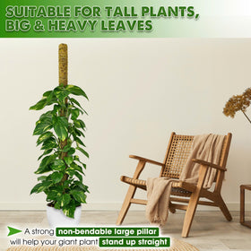 Duspro Monstera-climbing pole offers rigid structure for upward growth.