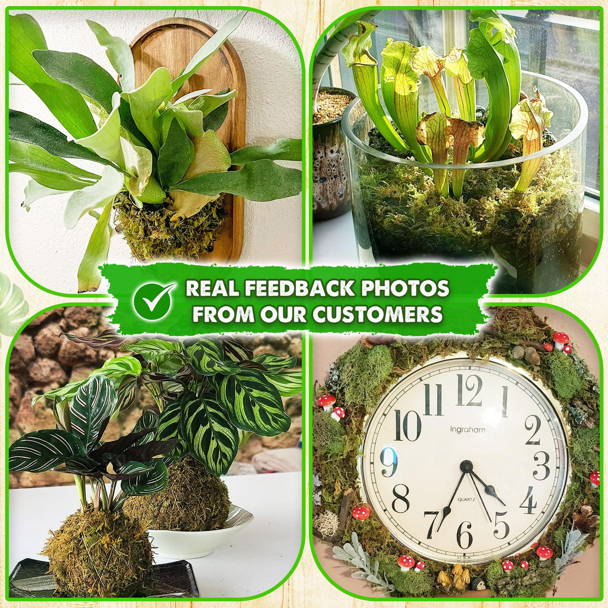 Duspro moss for crafts and decor DIY wreaths.