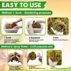 Duspro moss for kokedama and terrariums versatile decorative topper.