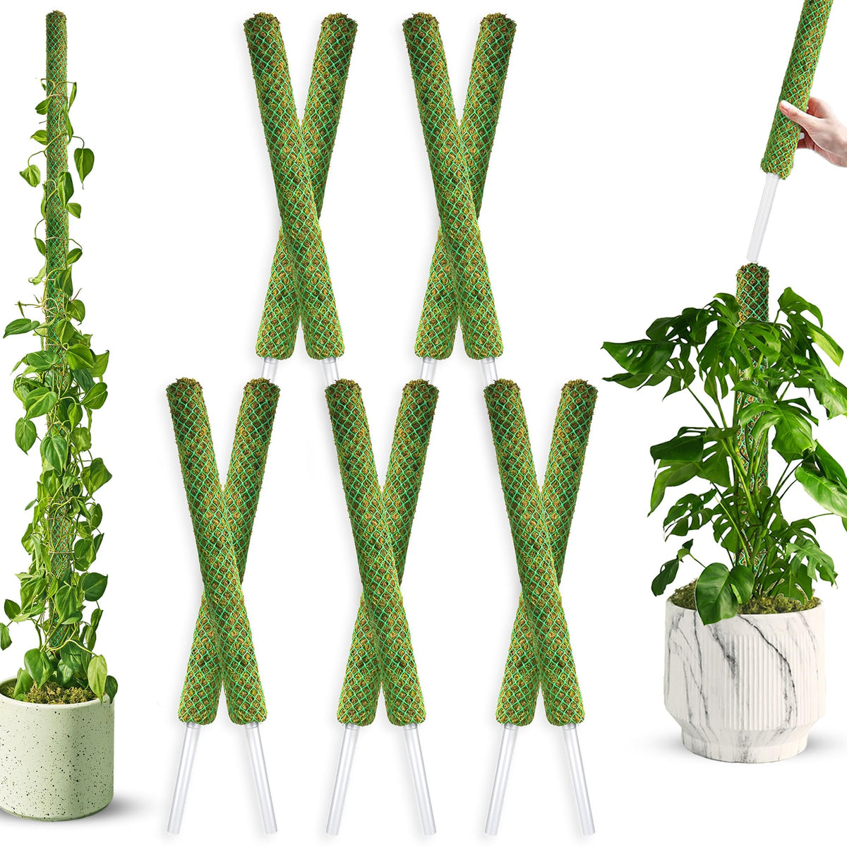 Duspro moss pole 22-inch stackable supports indoor climbing plants for vertical growth.