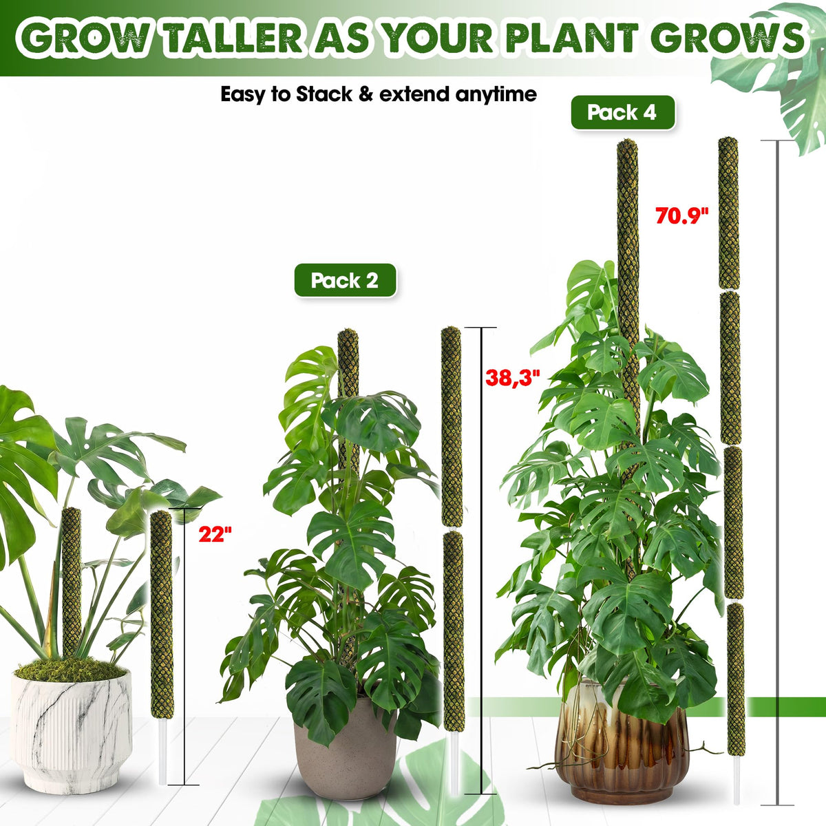 Duspro moss pole supports Monstera for upright growth