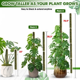 Duspro moss pole supports Monstera for upright growth
