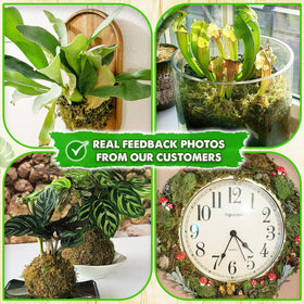 Duspro natural green moss color variation by season